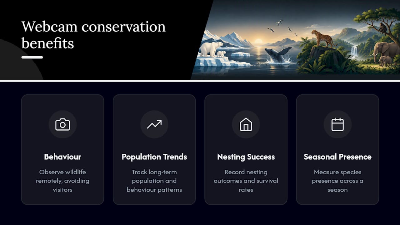 Wildlife webcam conservation monitoring outcomes