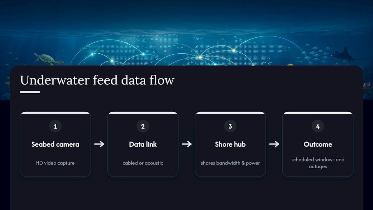 Underwater camera data and power constraints