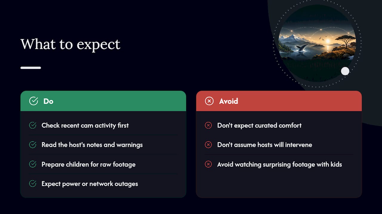 What to expect when watching live wildlife cams — overview diagram